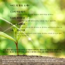 높빛도서관 나눔터 이미지