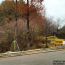 화인애견 이미지