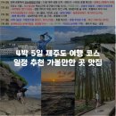 남호지질 - 함양군 | :제주 여행: 7월 제주도 내돈내산 4박5일 여행 총정리 (맛집, 일정, 가볼만한곳)