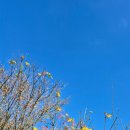 키즈키득펜션 이미지