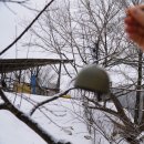 하늘마루염소목장 | 강원도 평창 목장체험 하늘마루 염소목장