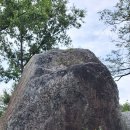 문경 봉천사 벌개미취 축제 이미지