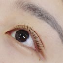 노원하나약국 | 노원역 속눈썹 펌? 마들역 속눈썹 펌? 속눈썹 펌으로 유명한 우이 브로우 솔직후기