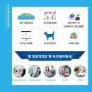펫비즈
