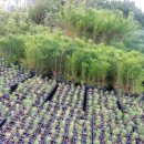 영림농장 이미지