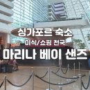 싱가포르 마리나 베이 샌즈 호텔 샌드 프리미어룸 후기