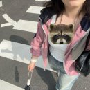 강원도립대학 버스정류장 이미지