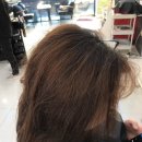 쎄씨미용실 이미지