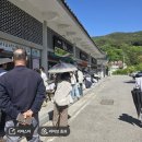 홍도(목월공원) 화장실 | [구례] 5월 구례 1박 2일 2일차 코스 KTX 여행 쌍산재 대나무 숲길 평화식당 봉성피자