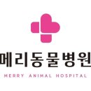 칠보동물병원 이미지