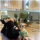 힐링 필라테스 이미지