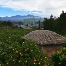 세훈농장 이미지