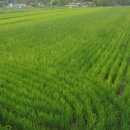 미천면-3 이미지