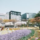 진평생교육원
