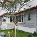 수목458 | 대구 대명동 고깃집 수목 458 후기