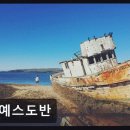 예스도반