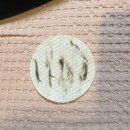 메디포올 | 압구정 스킨플래닝 잘 하는 곳 메디포올