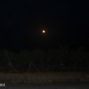 고래불국민야영장 이미지