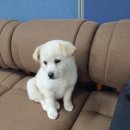 남산평기리 이미지