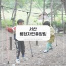 용현어린이집 | 충남 용현자연휴양림, 예약 없이 6살 아들과 다녀온 후기