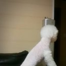 기다리다