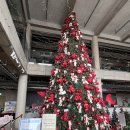 두스테이 | 춘천여행 춘천 대형카페 두바이쫀득꼬마김밥 올데이스테이 내돈내산 후기