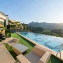 루루애견 이미지