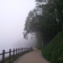 중대물빛공원 이미지