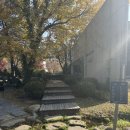 호국로111 | [경기도 양주]헤세의정원/레스토랑헤세 방문후기