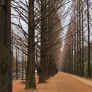 메타길5(어린이프로방스) 이미지