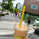 [부산 동래구] 메가커피 사직역점 / 내돈내산 몽글젤리 복숭아 스무디 / 신메뉴