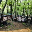 제2야영장 이미지