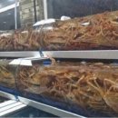 해림대게 이미지