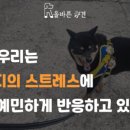 올바른 참견 이미지