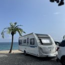 관성솔밭해변 이미지