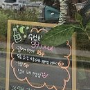 초밥꽃향기 이미지