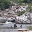 가야산 관광펜션 이미지