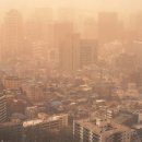 닥터모락 계양구청점 이미지