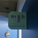 파블리 | 수원 영통 파충류 레오파드게코 분양샵 파블리 방문 후기