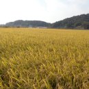 라궁경로당 이미지