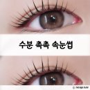 오하나 뷰티(ohana beauty) | 왜 단골이 많아?" 서대문구 남가좌동 속눈썹 속눈썹펌 대학생·직장인이 정착한 맛집의 비밀. 오하나 뷰티
