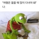 회바라기 네이버블로그