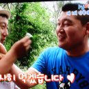 (주)산채원