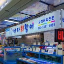 삼척횟집 | 삼척 중앙시장 횟집 바다회활어 오징어회 맛집 포장후기