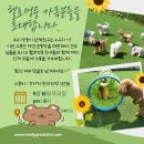 헬로멍뭉 이미지