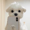 흠