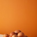 세종푸드시스템