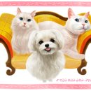 멍이랑 냥이랑 이미지