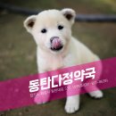 동탄중앙약국 이미지