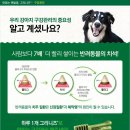 미르덴탈 이미지